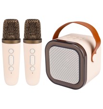 Głośnik Bluetooth przenośny karaoke - 2 mikrofony | LVT