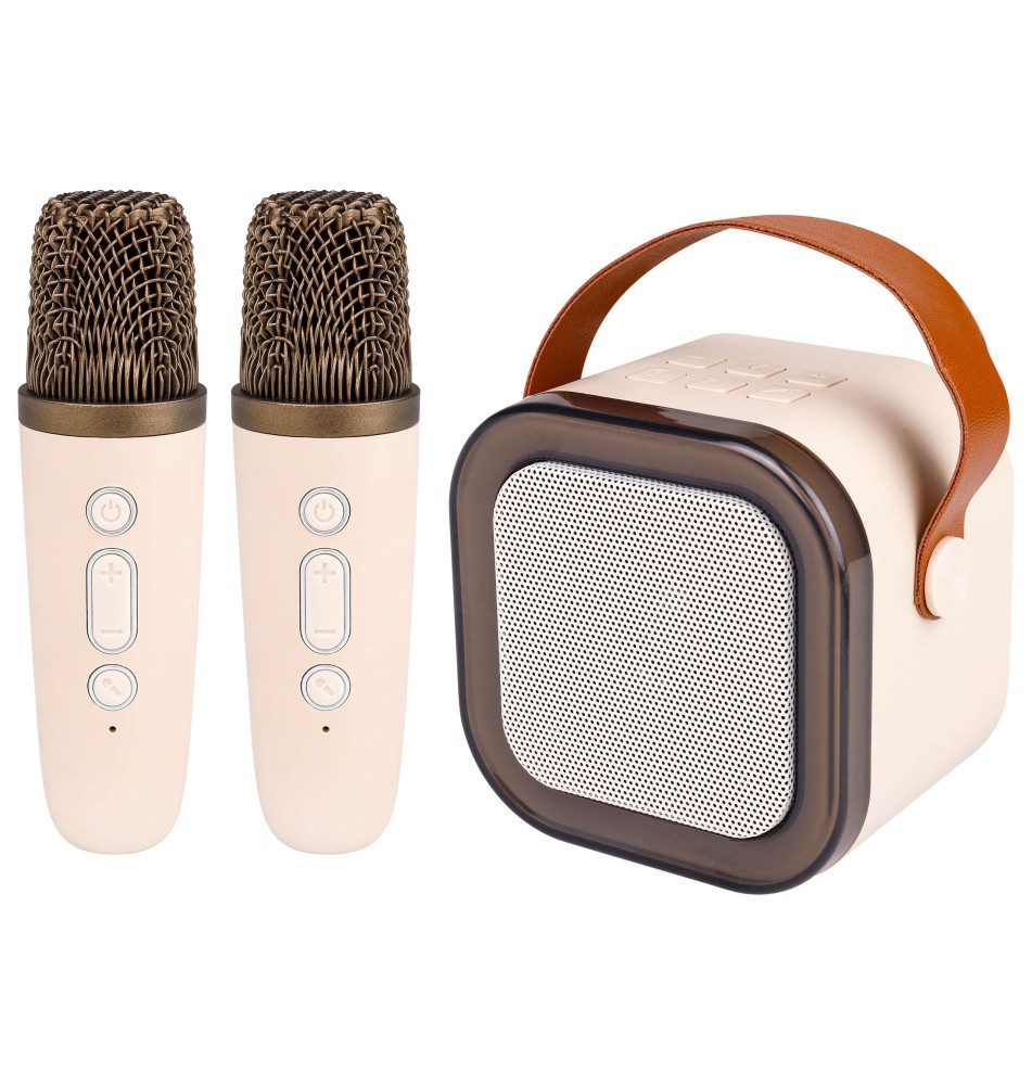 Głośnik Bluetooth przenośny karaoke - 2 mikrofony | LVT