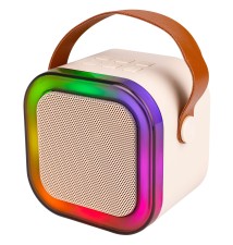 Portable Bluetooth Karaoke Speaker - 2 Microphones | LVT