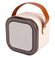 Głośnik Bluetooth przenośny karaoke - 2 mikrofony | LVT