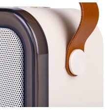 Portable Bluetooth Karaoke Speaker - 2 Microphones | LVT