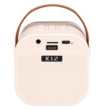 Głośnik Bluetooth przenośny karaoke - 2 mikrofony | LVT