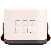 Głośnik Bluetooth przenośny karaoke - 2 mikrofony | LVT