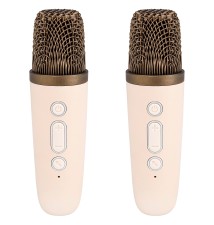 Portable Bluetooth Karaoke Speaker - 2 Microphones | LVT
