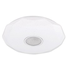 Diami 24W 390mm 3000K–6500K LED Ceiling Light with IR Pilot. | LVT