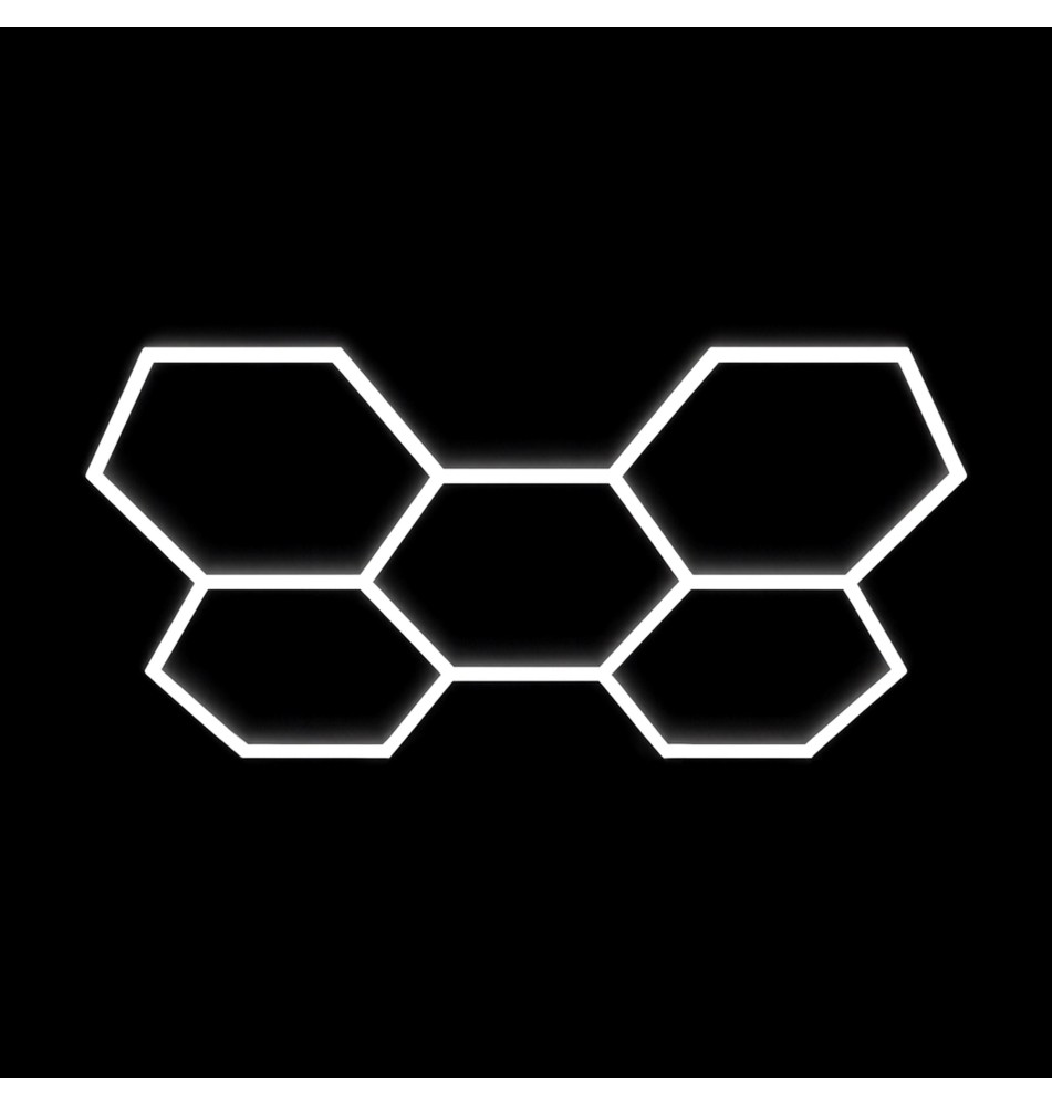 Hexagon 5S 192W 168x238cm LED Light, 6500K Set | LVT