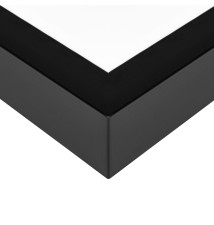 300x1200x38mm 60W Black Ceiling-Mounted LED Panel | LVT